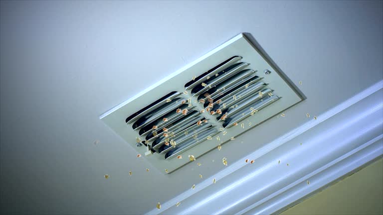 HVAC System Cleaning in Dunthorpe, OR